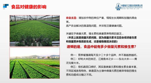 跨越隐形饥饿，点亮健康未来 硒锶硅锌营养健康食品项目与生态旅游开发协同发展计划